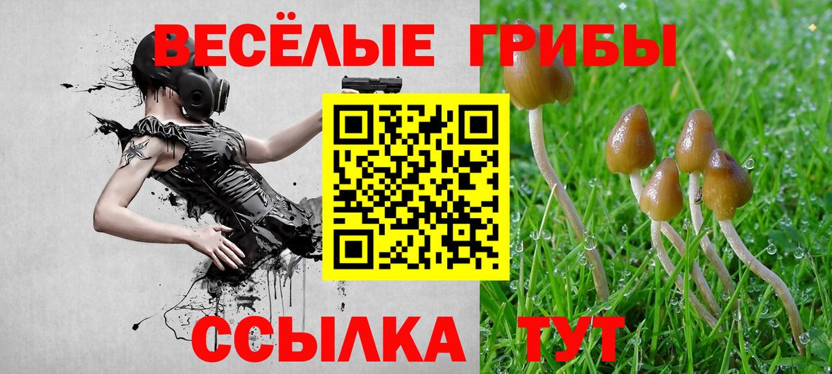 Туймазы  Псилоцибиновые грибы Psilocybine cubensis  Псилоцибиновые грибы Psilocybine cubensis  Вход с VPN 
